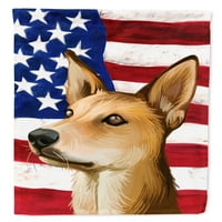 Съкровищата на Каролин Индийски парий куче американски флаг градински флаг